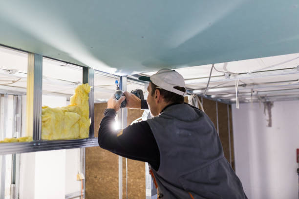 Best Insulation for Specific Applications in Olivette, MO
