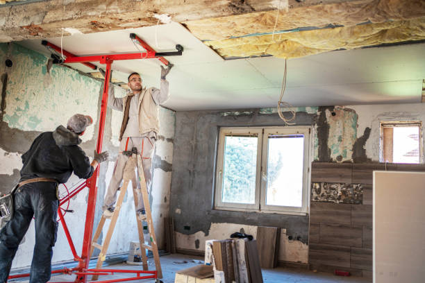 Best Commercial Insulation in Olivette, MO