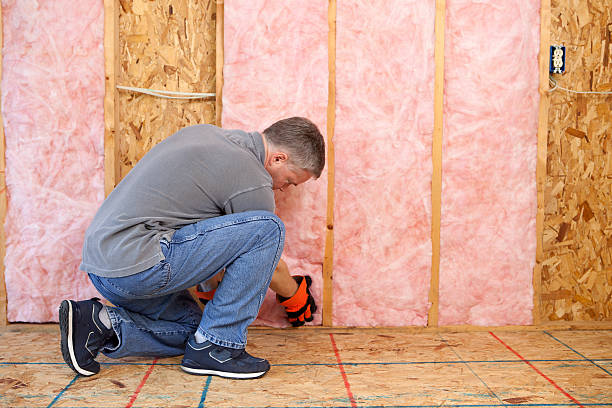 Best DIY Insulation Kits and Guidance in Olivette, MO