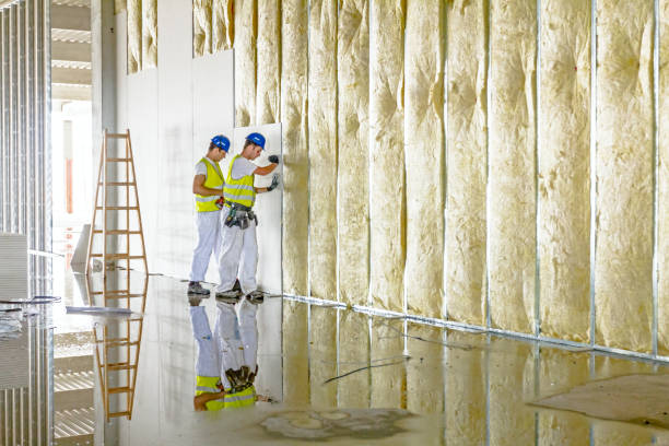 Best Geographic-Specific Insulation Services in Olivette, MO